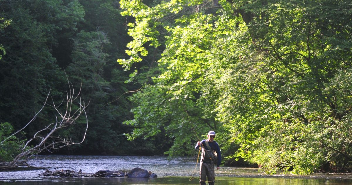 Fishing in Dawson County | Destination Dawsonville