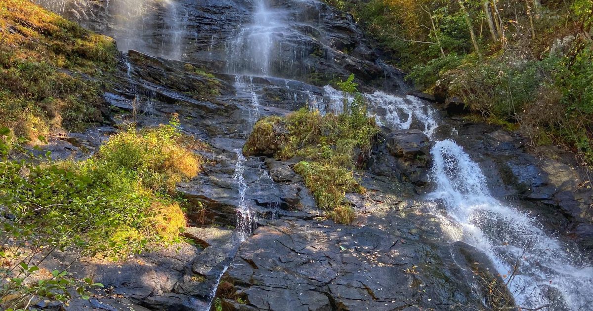 are dogs allowed at amicalola falls